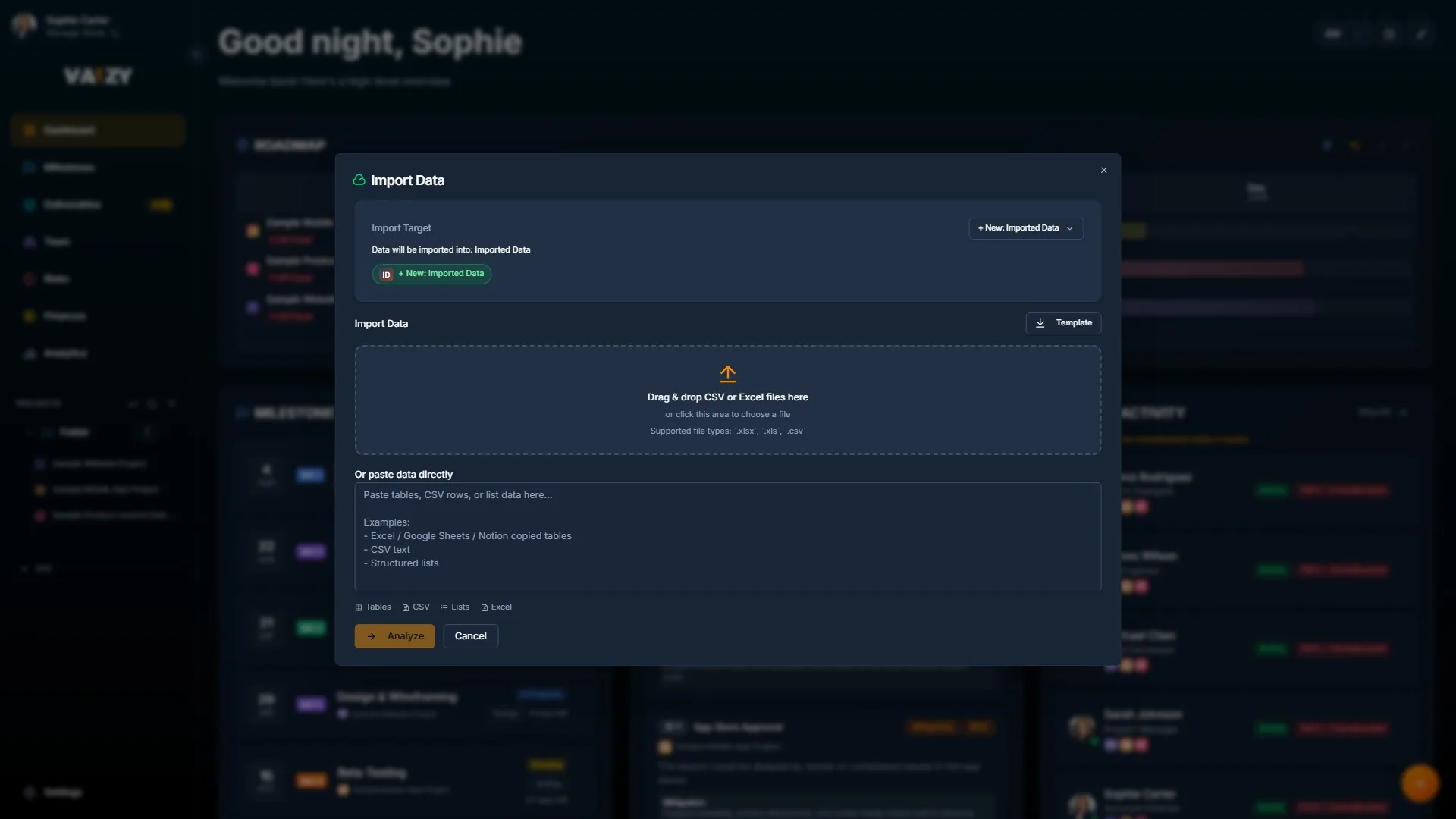 Vaizy dashboard with the import dialog open, showing field mapping from spreadsheet to portfolio data model.