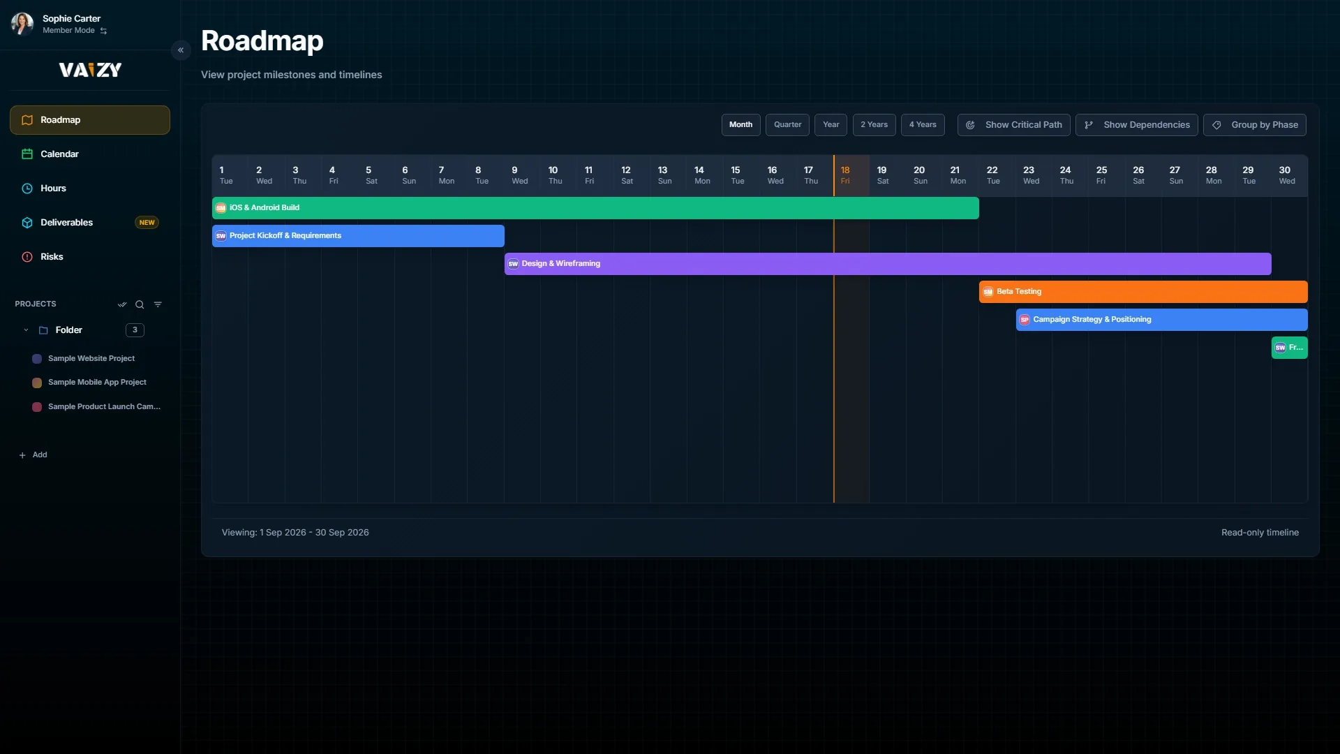 Vaizy Member Mode roadmap view showing personal milestones and assignments.
