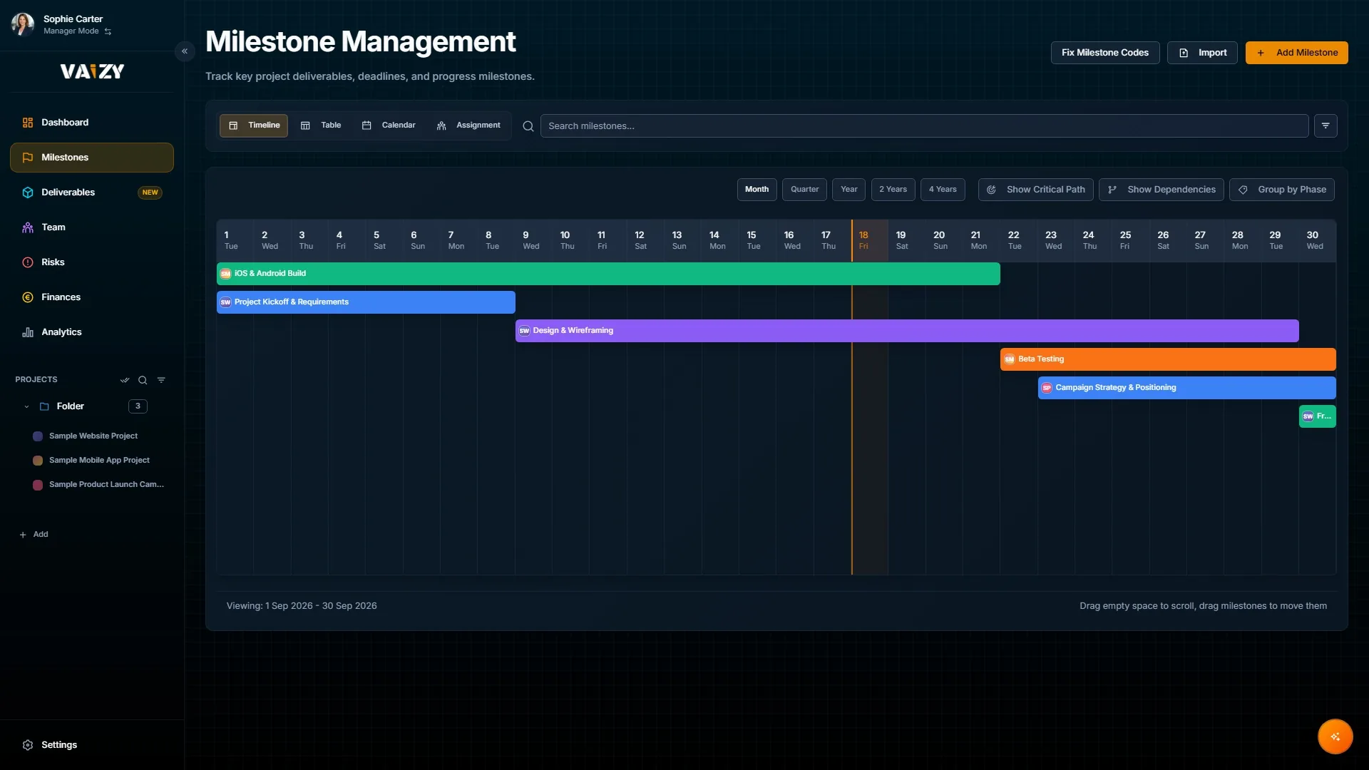 Vaizy milestone management with interactive timeline, delivery phases, and critical-path tracking.
